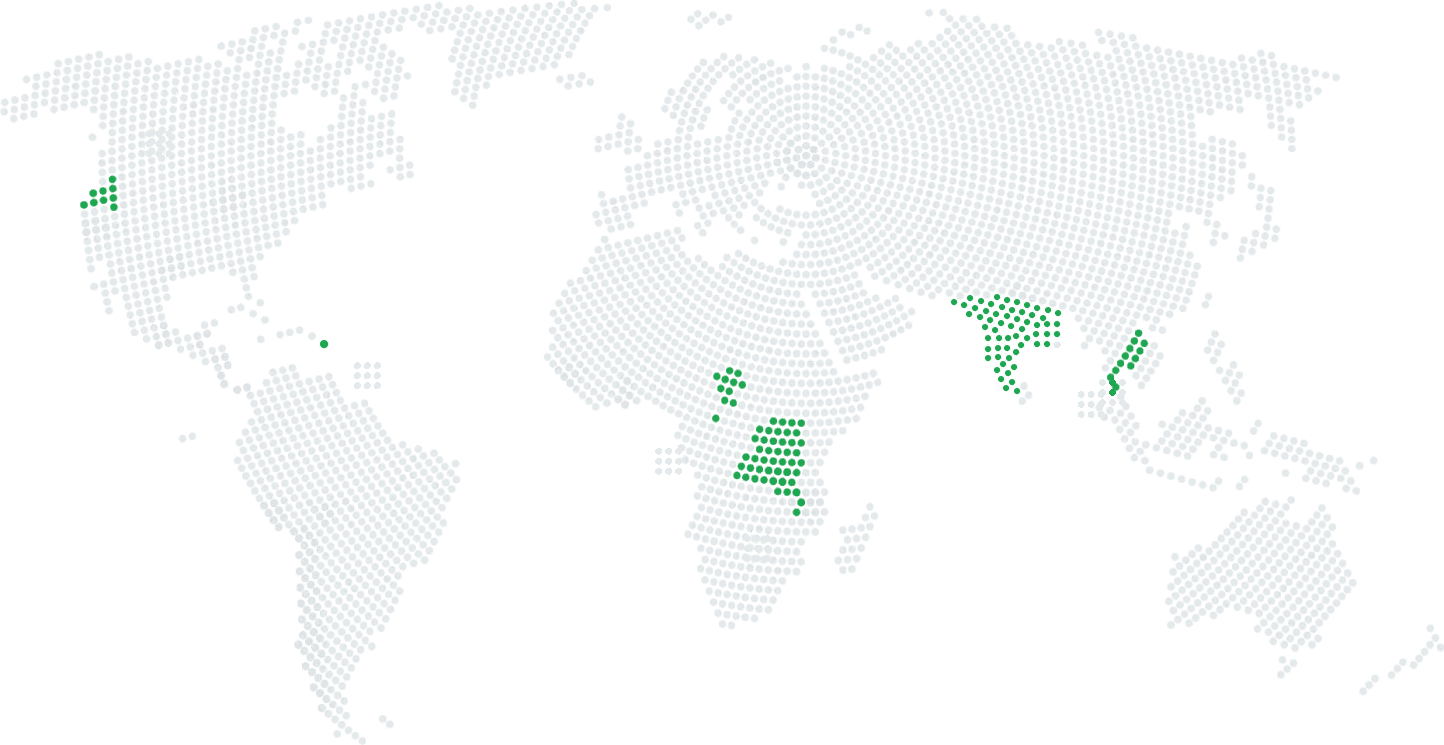 667d8d81555e958a89e78e31 map dotted